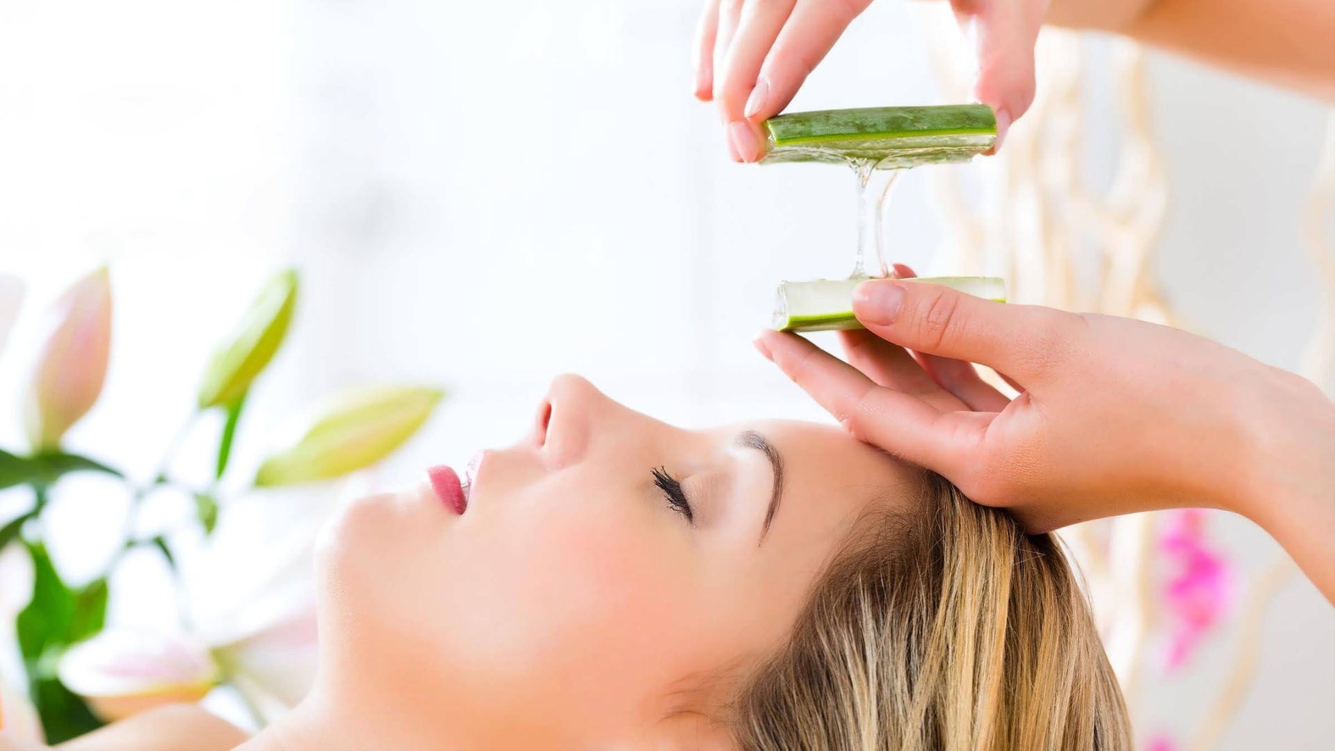 Aloe vera. Propiedades y beneficios en la piel